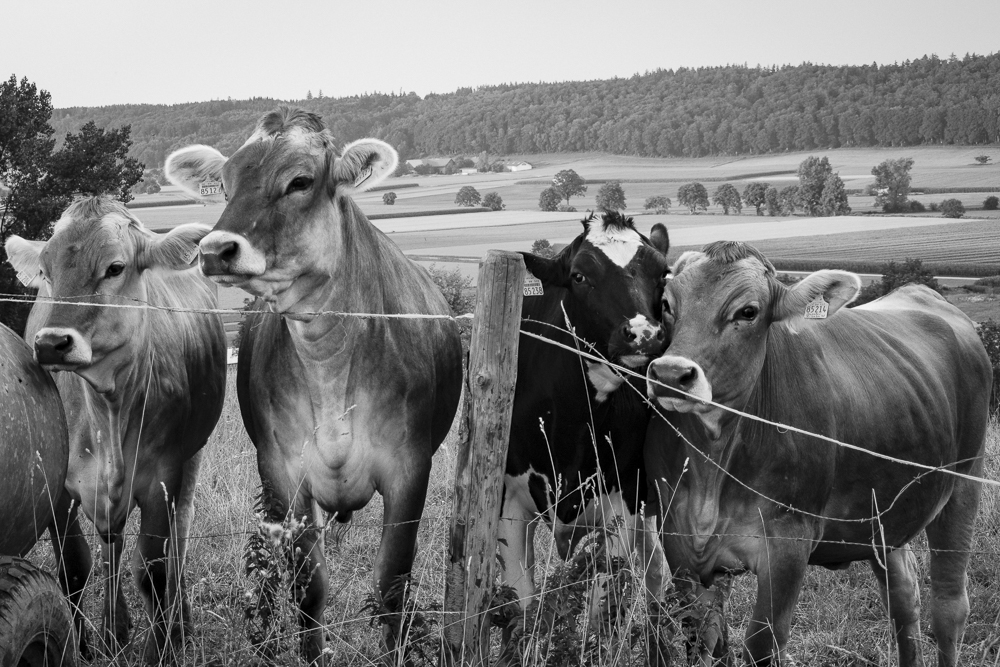 Platz 11 Sandra Neher